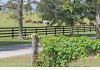 Rabbit Creek Bed and Breakfast: horse country
