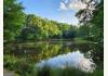 Madison Georgia Boutique Inn & Events Venue: Pond at Georgia Inn for sale