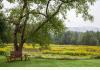 Historic Berkshires Inn & Estate+ Owner/Mgr Home: View of land and pastures