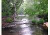 Miracle Farm Bed and Breakfast Spa and Resort: Dreamy River
