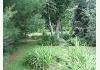 Linville Cottage: Yard