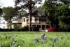 Hodges Hill: Hodges Hill