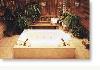 Bluebird Inn Bed & Breakfast: Jacuzzi tub for two
