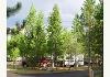 Sawtelle Mountain Resort: 