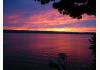 Wine Country Cabins Bed and Breakfast: 