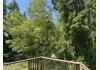 Decatur Island retreat and guesthouse: 