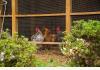 The Birdnest Inn in Aiken, South Carolina: Fresh Eggs for Breakfast 