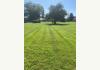 Frogtown Acres Bed and Breakfast: Back Yard
