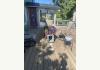 Frogtown Acres Bed and Breakfast: Deck