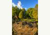 West Texas Bed & Breakfast for Sale: Grounds at Alpine TX Inn