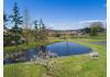 Trumpeter Inn Bed & Breakfast : 