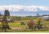 Trumpeter Inn Bed & Breakfast : 