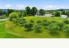 Apple Ridge BnB: 