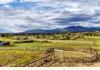 Hacienda de Suenos: Horse Fields