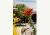 Casa de Suenos Country Inn: 