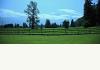 Bear Mountain Ranch: The property