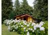 Pines Lake Resort: GARDENS - HIDREGNAS