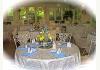Yellow Turtle Inn: Glass Garden Room