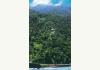 Mt. Edgecombe Plantation: The Plantation