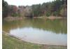 Gore Springs Paradise: 