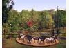 Aska Lodge B & B: Firepit Area