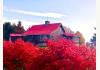 Alluring View B&B Log Cabin: 