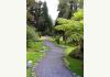 Volcano Garden Arts: 