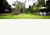 Volcano Garden Arts: 