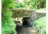 Seven Pines Historic Lodge: Bridge