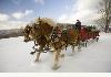 Seven Pines Historic Lodge: Sleigh Ride