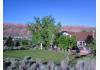 Desert Hills Bed and Breakfast: 