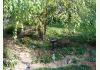 Inn at Weston Landing: Garden