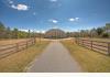 Horsestamp Road Estate: Oak tree lined drive leads to home