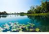 Potential B&B on 95 Acres in NE Indiana!: 