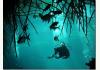 8 Room Boutique Hotel in Riviera Maya Mexico: 