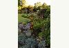 Hosteria de la Colina: garden with gazebo