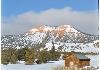 Bryce Trails Bed and Breakfast: View from guest room