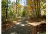 Moores Vineyard: Driveway