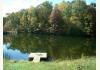 Moores Vineyard: Lake