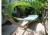 The Grand Guesthouse: Relax in the hammock