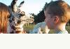 Topliff Tara Bed & Breakfast: 