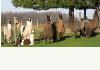 Topliff Tara Bed & Breakfast: 