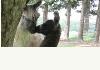 Topliff Tara Bed & Breakfast: 