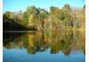 Tannerbrook B & B: view of pond