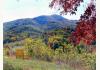 Honey Hill Inn & Cabins : 