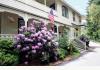 Honey Hill Inn & Cabins : 