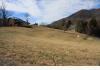 Honey Hill Inn & Cabins : 