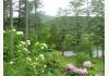 The Cabins in Hope: The lower yard as seen from Hillview Cabin