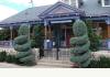 The Big Blue House - Tucson Boutique Inn: Mature Landscaping