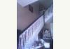 Burr House: Front stairs